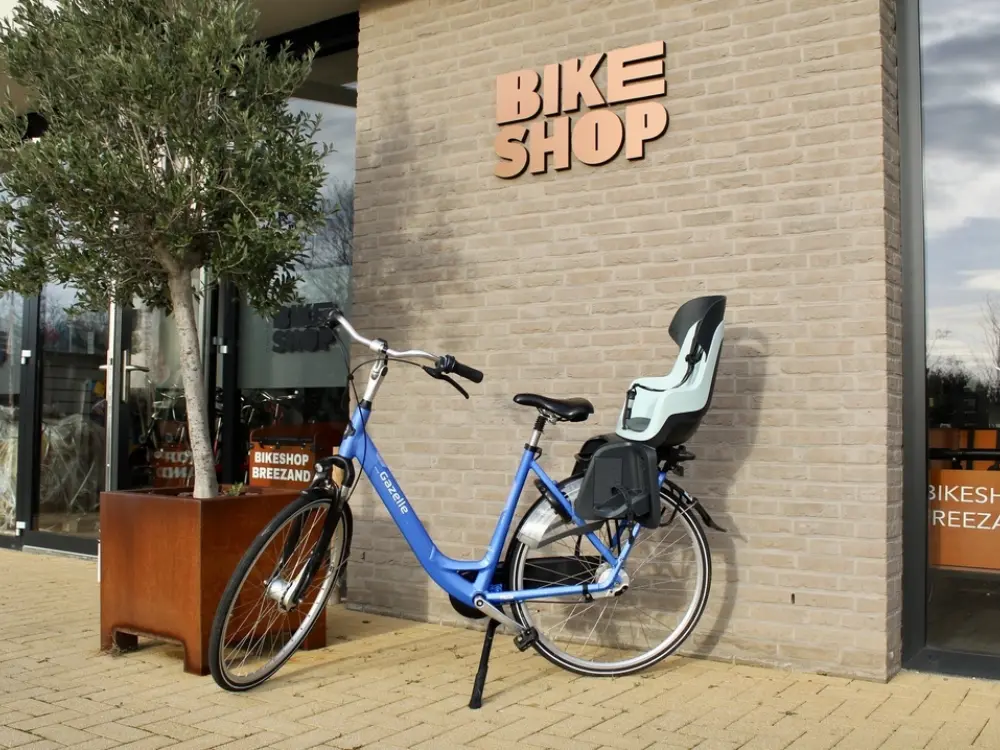 Kinderzitje op dames