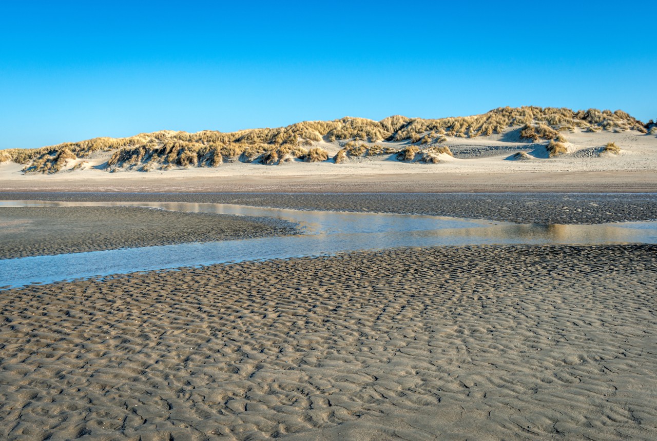 Activiteiten Breezand Vakanties - Breezand Vakanties