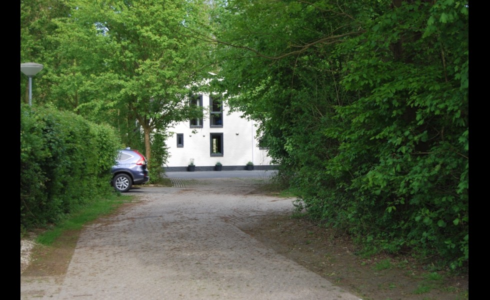 29.JPG