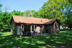 Foto1