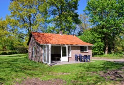 Foto1