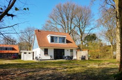 Foto1