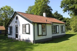 Foto1