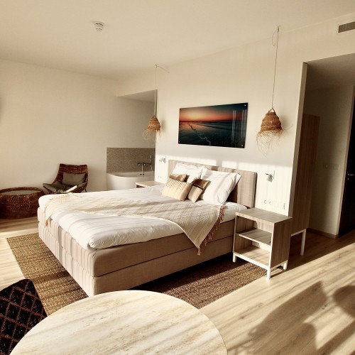 Hotelsuite 232.jpeg